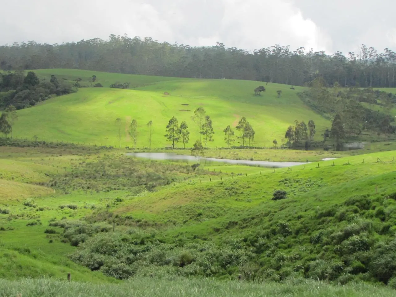 Shinic Holiday Inn Nuwara Eliya Sri Lanka