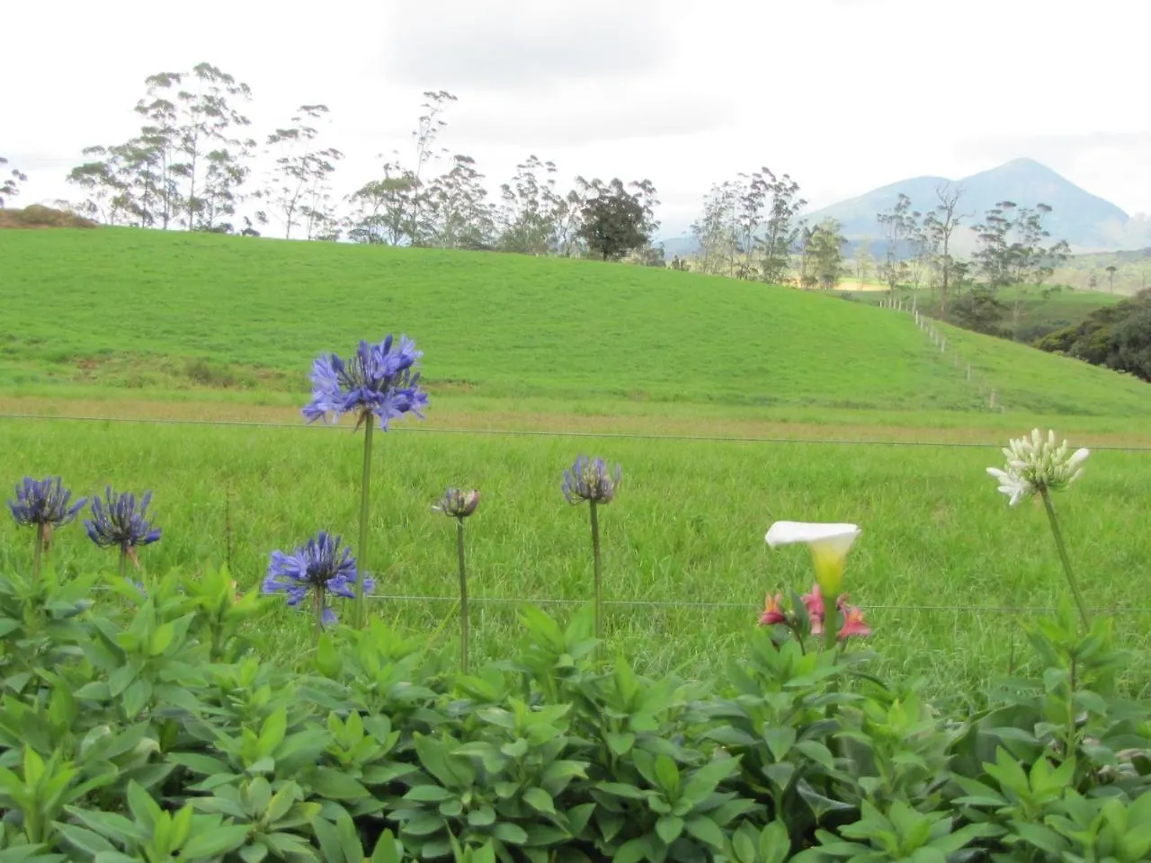 Shinic Holiday Inn Nuwara Eliya 0*,