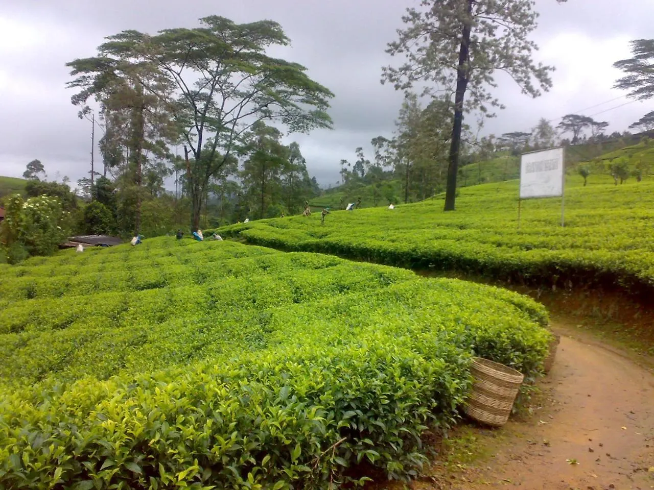 Shinic Holiday Inn Nuwara Eliya